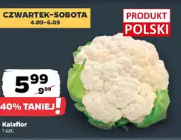 Netto Kalafior Polski oferta
