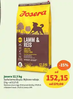 Maxi Zoo Karma dla psa oferta
