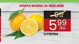 Wafelek Cytryna oferta
