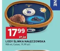 Stokrotka Optima Lody Solidarność oferta
