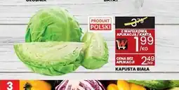 Wafelek Kapusta biała oferta