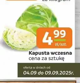 Społem Kapusta oferta