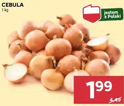 Stokrotka Market Cebula Polski oferta