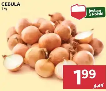 Stokrotka Market Cebula Polski oferta