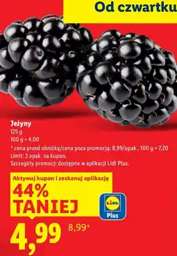 Lidl Jeżyny 125 g Lidl oferta