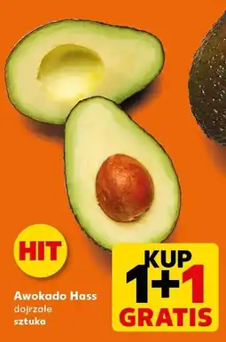 Kaufland Awokado Hass Kaufland oferta