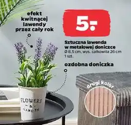 Netto Lawenda sztuczna w doniczce oferta