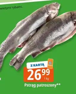 E.Leclerc Pstrąg patroszony oferta