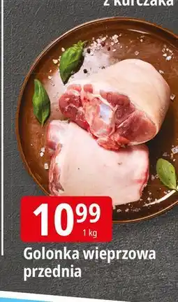 E.Leclerc Golonka przednia oferta