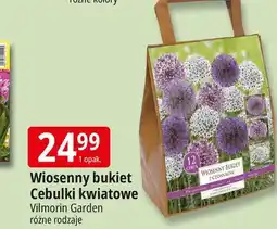 E.Leclerc Wiosenny bukiet z czosnków Vilmorin Garden oferta
