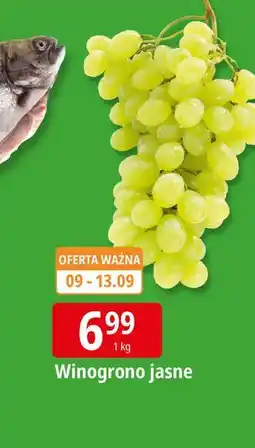 E.Leclerc Winogrona jasne oferta
