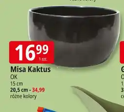 E.Leclerc Misa kaktus 20.5 cm oferta