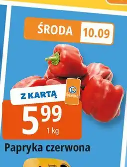 E.Leclerc Papryka czerwona oferta