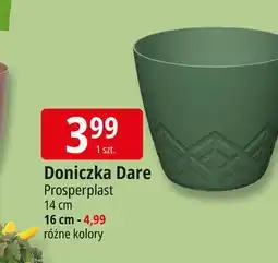 E.Leclerc Doniczka dare 16 cm Prosperplast oferta
