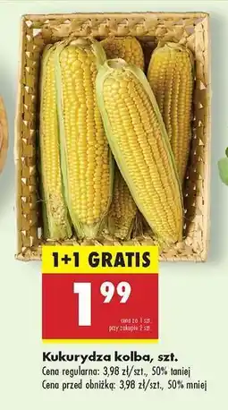 Biedronka Kukurydza kolba szt oferta
