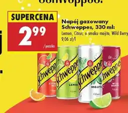 Biedronka Napój gazowany Schweppes, 330 ml oferta