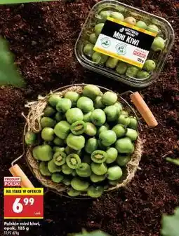 Biedronka Polskie mini kiwi opak . 125 g oferta