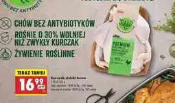 Biedronka Kurczak sielski tusza oferta