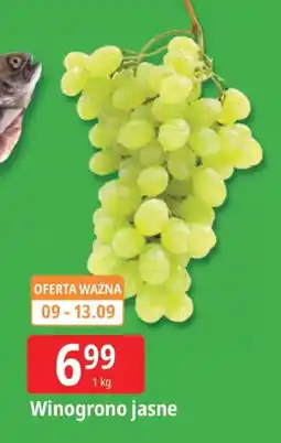 E.Leclerc Winogrono jasne Leclerc oferta