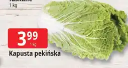 E.Leclerc Kapusta pekińska Leclerc oferta