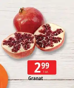 E.Leclerc Granat Leclerc oferta