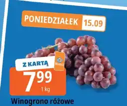 E.Leclerc Winogrono różowe Leclerc oferta