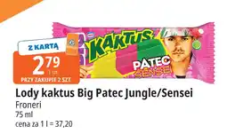 E.Leclerc Lody Kaktus Big Patec Jungle/Sensei Froneri oferta