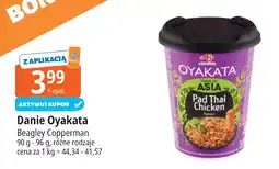 E.Leclerc Danie Oyakata Pad Thai Chicken oferta