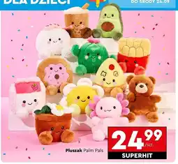 Biedronka Pluszak palm pals oferta