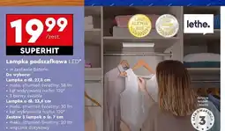 Biedronka Lampki podszafkowe led 7 cm Lethe oferta