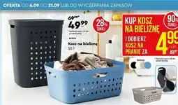 Biedronka Kosz na bieliznę 55 l Rotho oferta