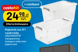 Castorama Pojemnik oferta