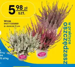Castorama Wrzos Gardenic oferta