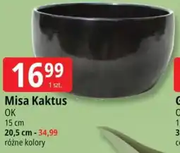 E.Leclerc Misa Kaktus oferta