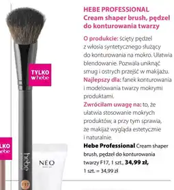 Hebe Pędzel do makijażu Hebe Professional oferta