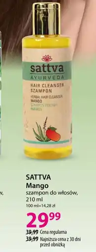 Hebe Szampon Sattva oferta