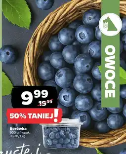 Netto Borówka Netto oferta