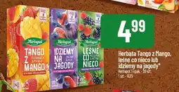 Polomarket Herbata Tango z Mango/Leśne co nieco/Idziemy na jagody Herbapol oferta