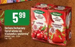 Polomarket Herbata Herbaciany Ogród wiśnia/truskawka z poziomką Herbapol oferta