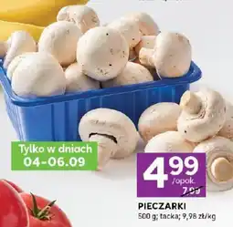 Stokrotka Pieczarki oferta
