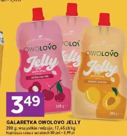 Stokrotka Galaretka Owolovo Jelly oferta