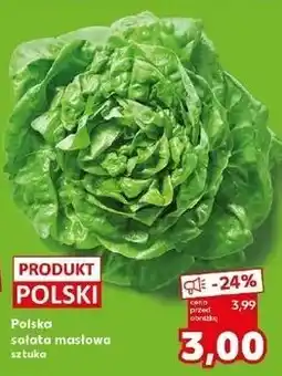 Kaufland Sałata masłowa polska oferta