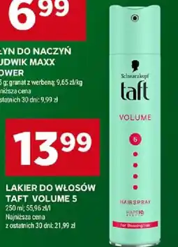 Stokrotka Lakier do włosów Taft Volume 5 oferta