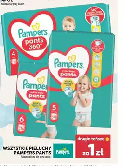 Stokrotka Pampers Pants oferta
