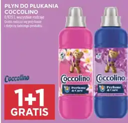 Stokrotka Płyn do płukania Coccolino oferta