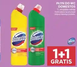 Stokrotka Płyn do WC Domestos oferta