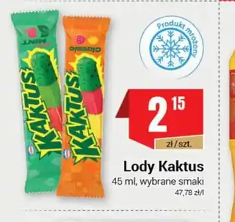 Nasz Sklep Lody Kaktus oferta