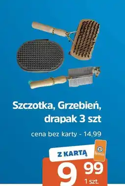 E.Leclerc Szczotka grzebień drapak oferta
