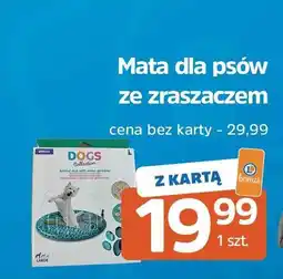 E.Leclerc Mata dla psa ze zraszaczem oferta
