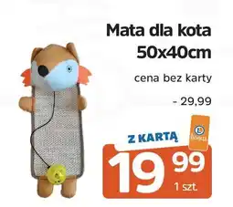 E.Leclerc Mata dla kota z drapakiem i myszką 50 x 40 cm oferta